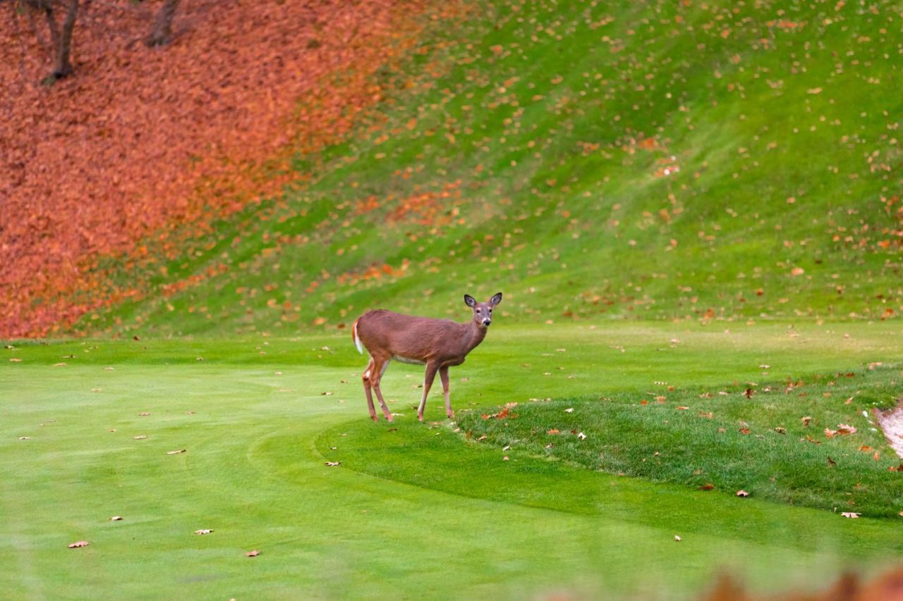 Crown At Silverwoods 3*